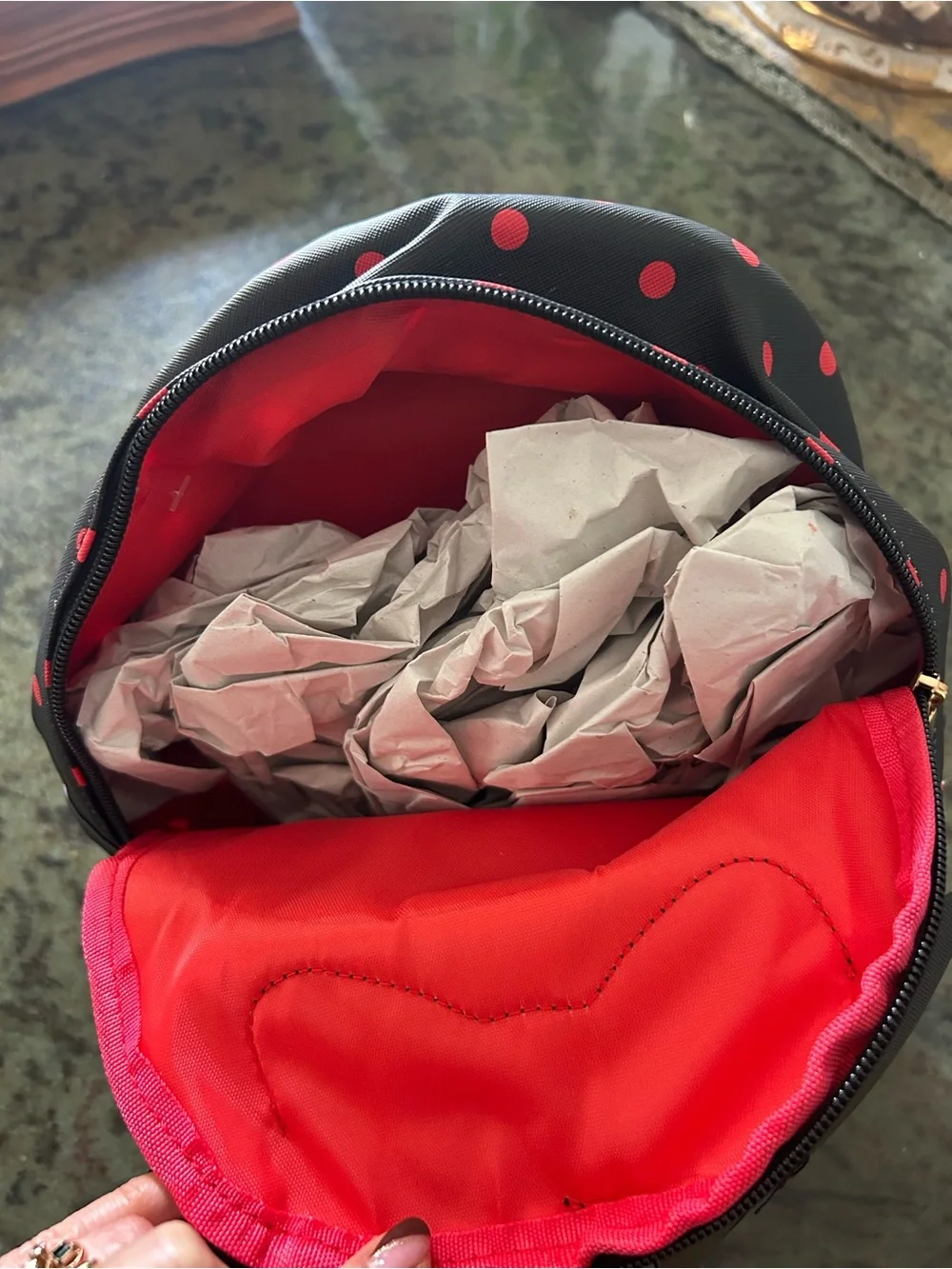 Brand New Disney Minnie Mouse Backpack